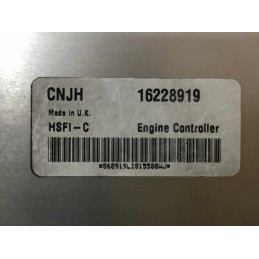 ECU MOTOR DELPHI DELCO HSFI-C OPEL 16228919 CNJH