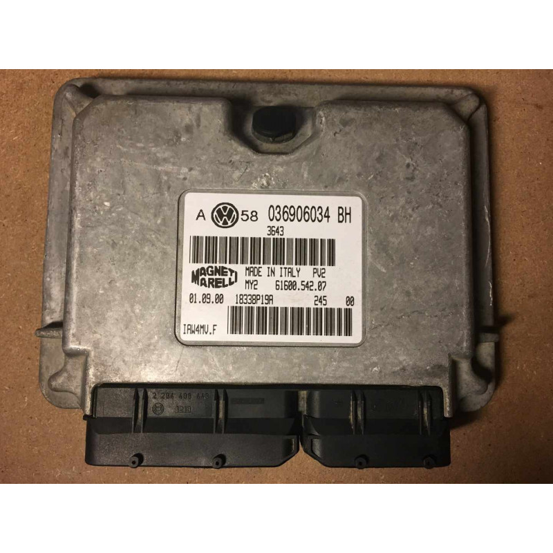 ECU MOTOR MAGNETI MARELLI IAW 4MV.F 6160054207 VAG 036906034BH