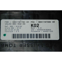 BSI K02-00 VALEO PSA 9651197080 9651197780