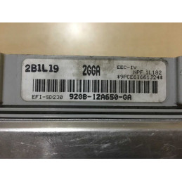 ECU MOTOR VISTEON EFI-SD230 FORD 92GB-12A650-GA 2GGA