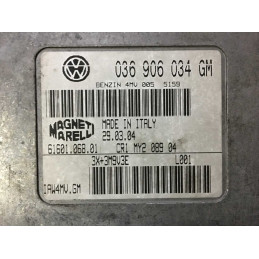 ECU MOTOR MAGNETI MARELLI IAW 4MV.GM 6160106801 VAG 036906034GM