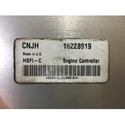 ECU MOTOR DELPHI DELCO HSFI-C OPEL 16228919 CNJH