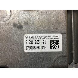 ECU MOTOR BOSCH MEVD17.2.3 0261S18520 BMW 8691825