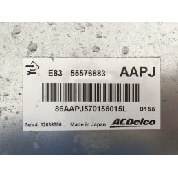 ECU MOTOR ACDELCO E83 OPEL 55576683 AAPJ