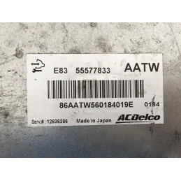 ECU MOTOR ACDELCO E83 OPEL 55577833 AATW