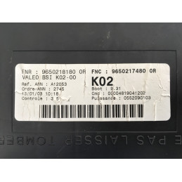 BSI  VALEO K02-00 PSA 9650218180 9650217480