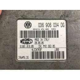 ECU MOTOR MAGNETI MARELLI IAW 4MV.DG 6160101809 VAG 036906034DG