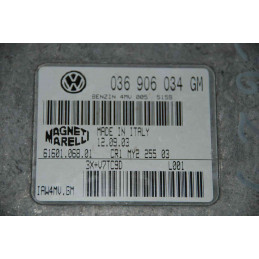 ECU MOTOR MAGNETI MARELLI IAW 4MV.GM 6160106801 VAG 036906034GM