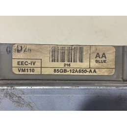 ECU MOTOR VISTEON VM110 FORD 85GB-12A650-AA