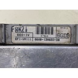 ECU MOTOR VISTEON EFI-VM111 FORD 86GB-12A650-DB 6GDB