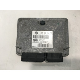 ECU MOTOR MAGNETI MARELLI IAW 4MV.DG 6160101809 VAG 036906034DG