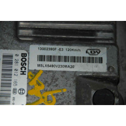 ECU MOTOR BOSCH EDC16C39 0281012165 LDV 43002031F