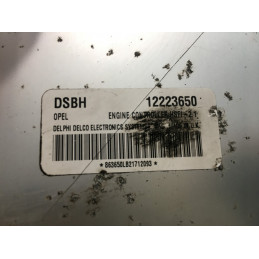 ENGINE ECU DELPHI DELCO HSFI-2.1 OPEL 12223650 DSBH