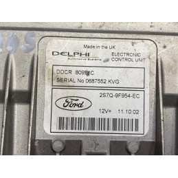 DELPHI DDCR R0410B024B RENAULT 8200334419