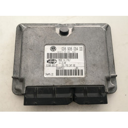 ECU MOTOR MAGNETI MARELLI IAW 4MV.DD 61600.663.07 VAG 036906034DD