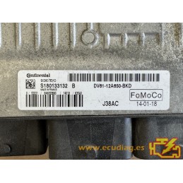 CONTINENTAL SID807EVO S180133132B FORD TRANSIT / TOURNEO CONNECT II 1.6 TDCI 55KW 75CV UBGA DV61-12A650-BKD / SW DV61-14C204-BKE
