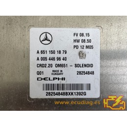 ECU DELPHI CRD2.20 28254848 MERCEDES W639 VITO II 2.2 CDI 120KW 163HP L4 16V 651940 AT A6511501879 A0054469640 / SW 6519036217