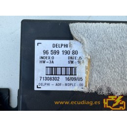 MÓDULO PUERTAS DELPHI 71308302 PEUGEOT 1007 9659919080