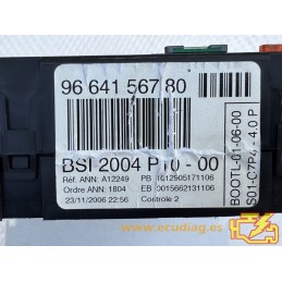 BSI 2004 P10-00 A12249 CITROEN C2 I 9664156780 / SW 9663820080 - VIRGIN