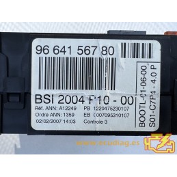 BSI 2004 P10-00 A12249 CITROEN C3 I 9664156780 / SW 9666974680 - VIRGIN