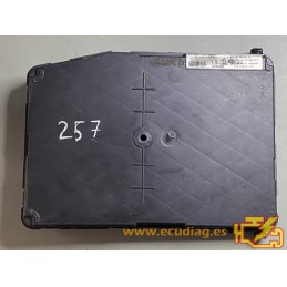 UCH X84 N2 SIEMENS S118400220D RENAULT MEGANE II / SCENIC II 8200309690 - VIRGIN