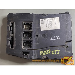 UCH X84 N2 SIEMENS S118400220D RENAULT MEGANE II / SCENIC II 8200309690 - VIRGIN