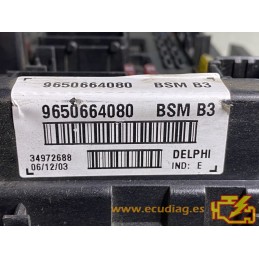 BSM DELPHI B3 PSA 9650664080