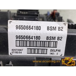 BSM B2 DELPHI PSA 9650664180
