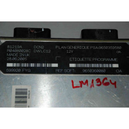 ECU MOTOR LUCAS DCN2 R04080028C PSA 9650359580