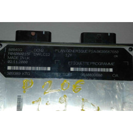 ECU MOTOR LUCAS DCN2 R04080015F PSA 9639587680