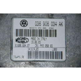 ECU MOTOR MAGNETI MARELLI IAW 4MV.AK 6160068407 VAG 036906034AK