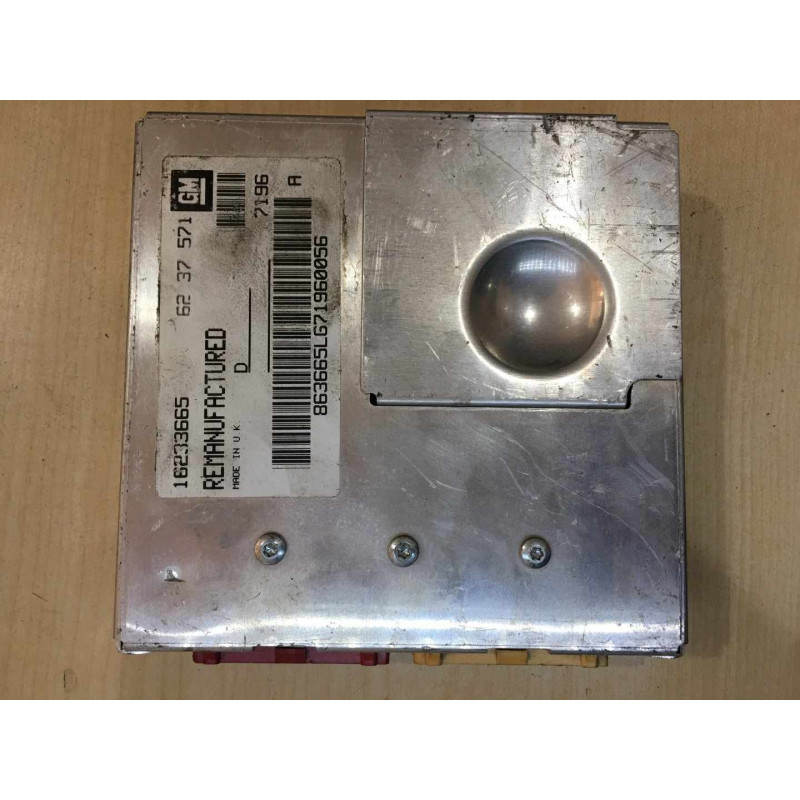 ECU MOTOR DELCO 16233665 OPEL 6237571