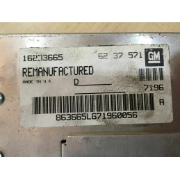 ECU MOTOR DELCO 16233665 OPEL 6237571